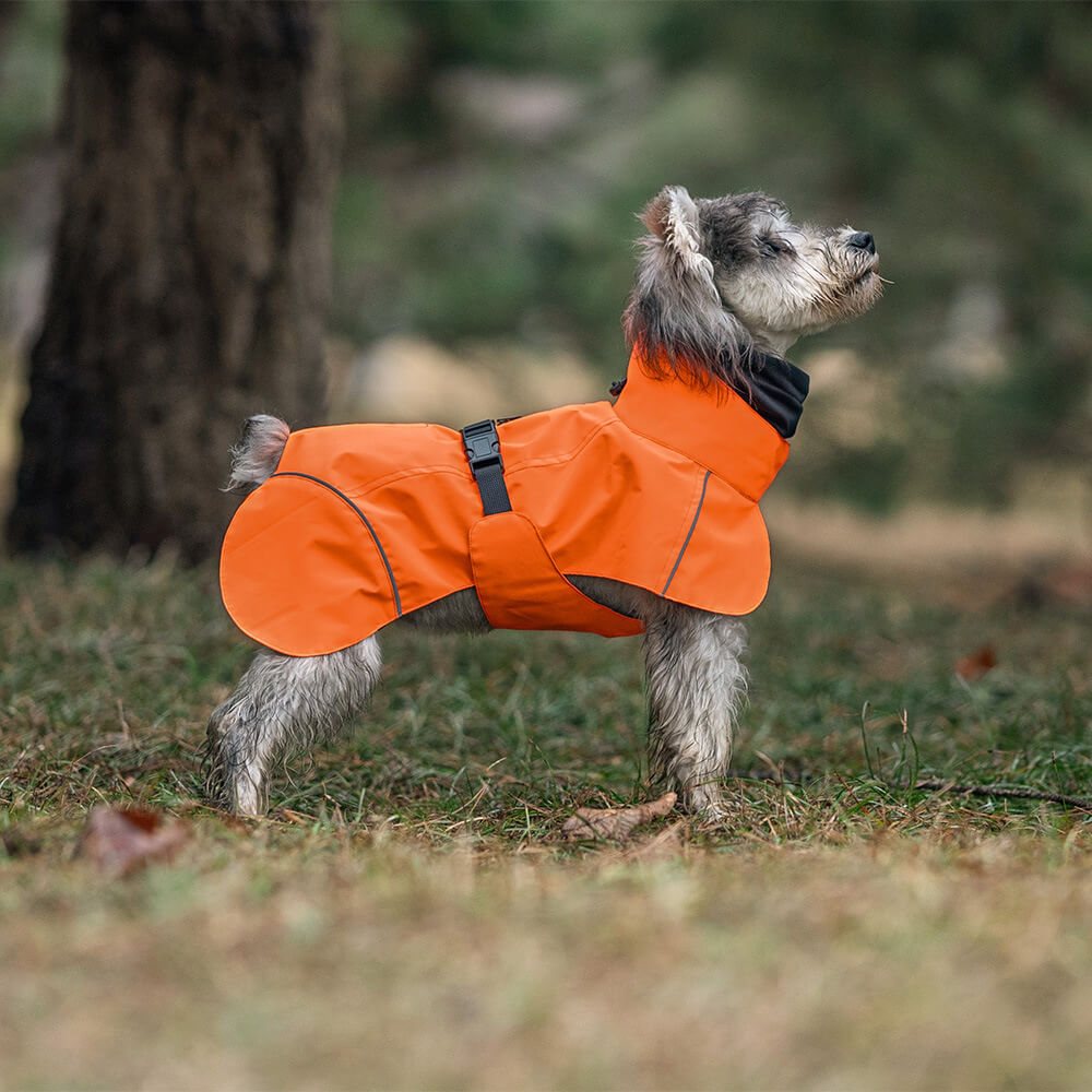 Poncho impermeable para perros con cuello alto, ligero, reflectante y ajustable