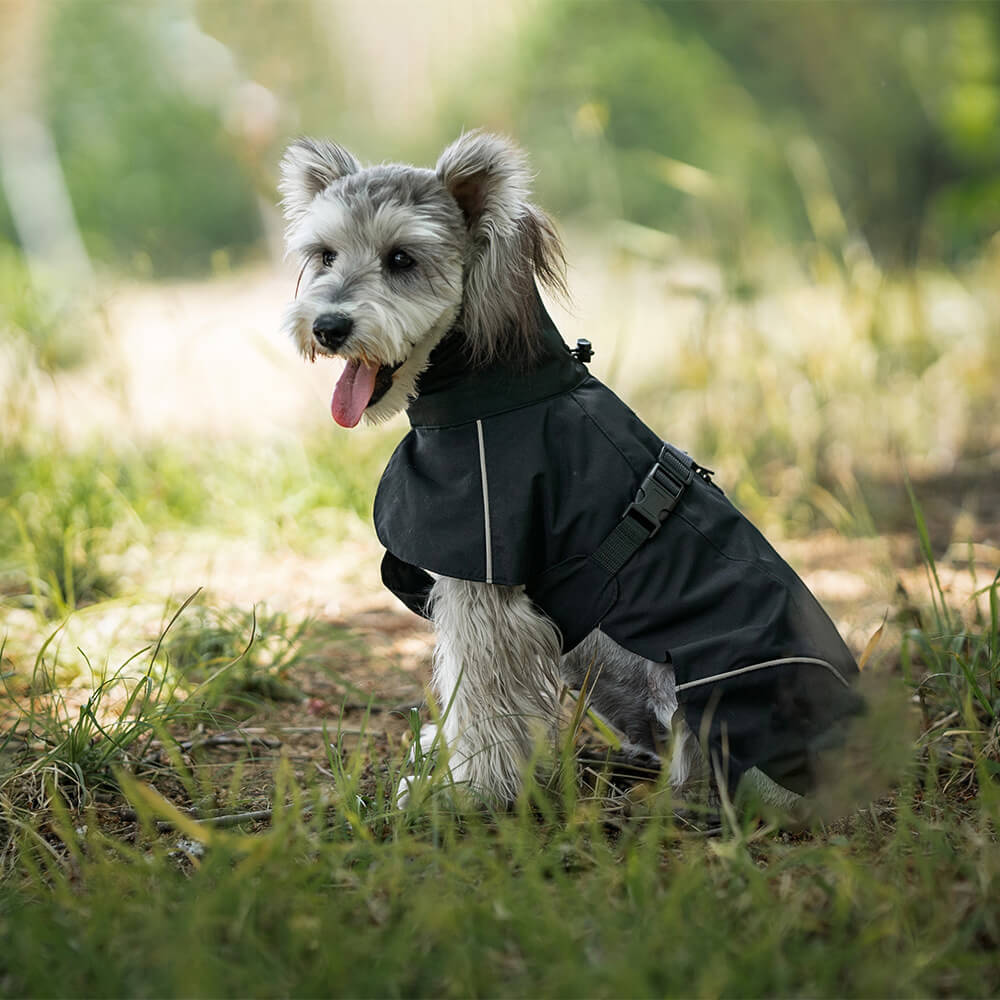 Poncho impermeable para perros con cuello alto, ligero, reflectante y ajustable