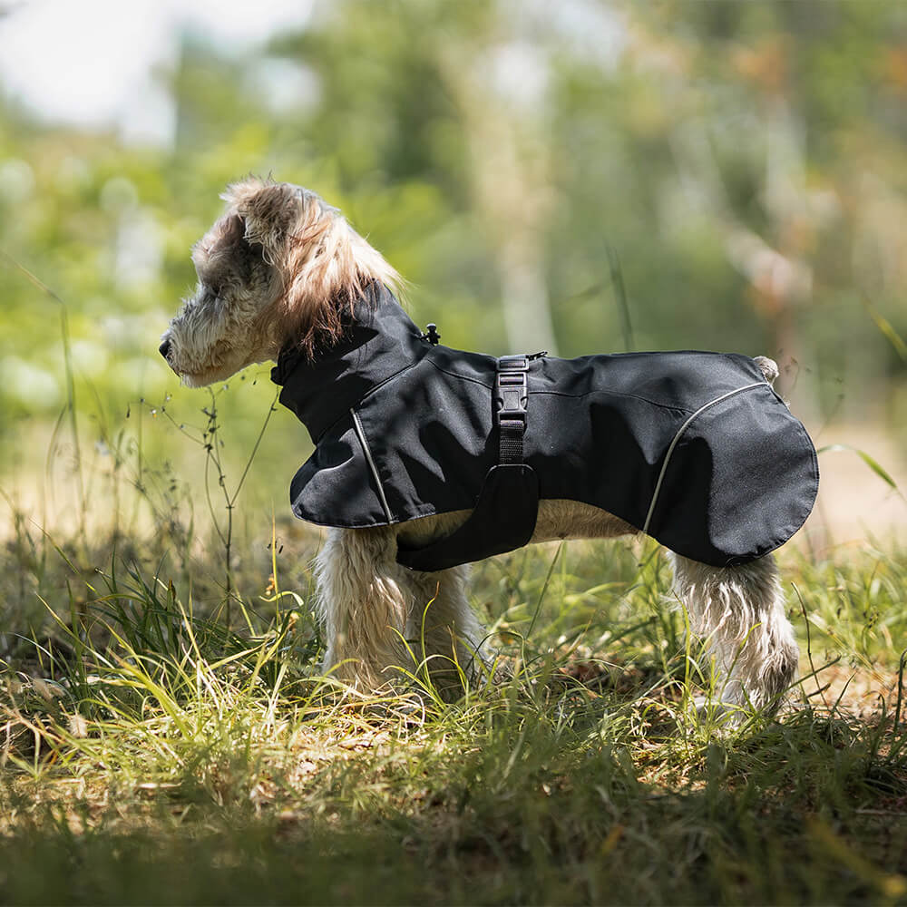 Poncho impermeable para perros con cuello alto, ligero, reflectante y ajustable