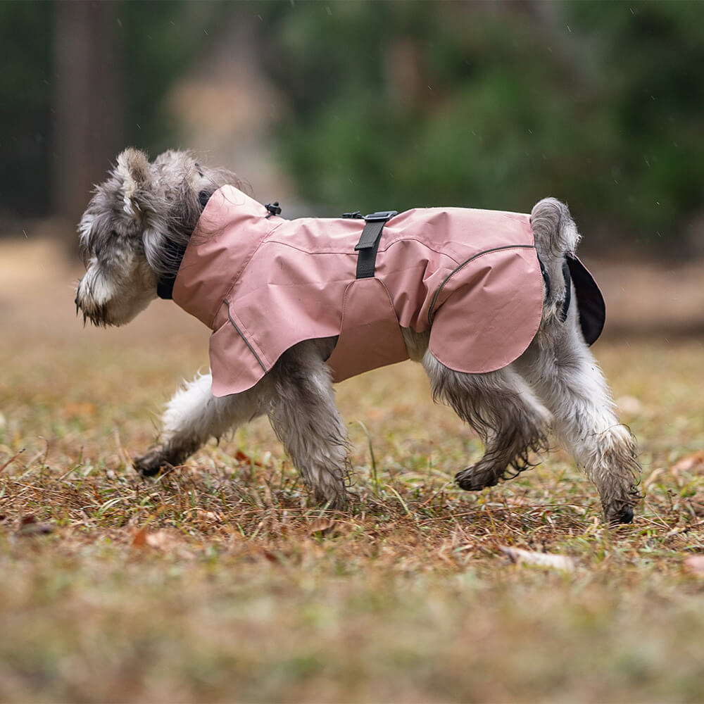 Poncho impermeable para perros con cuello alto, ligero, reflectante y ajustable