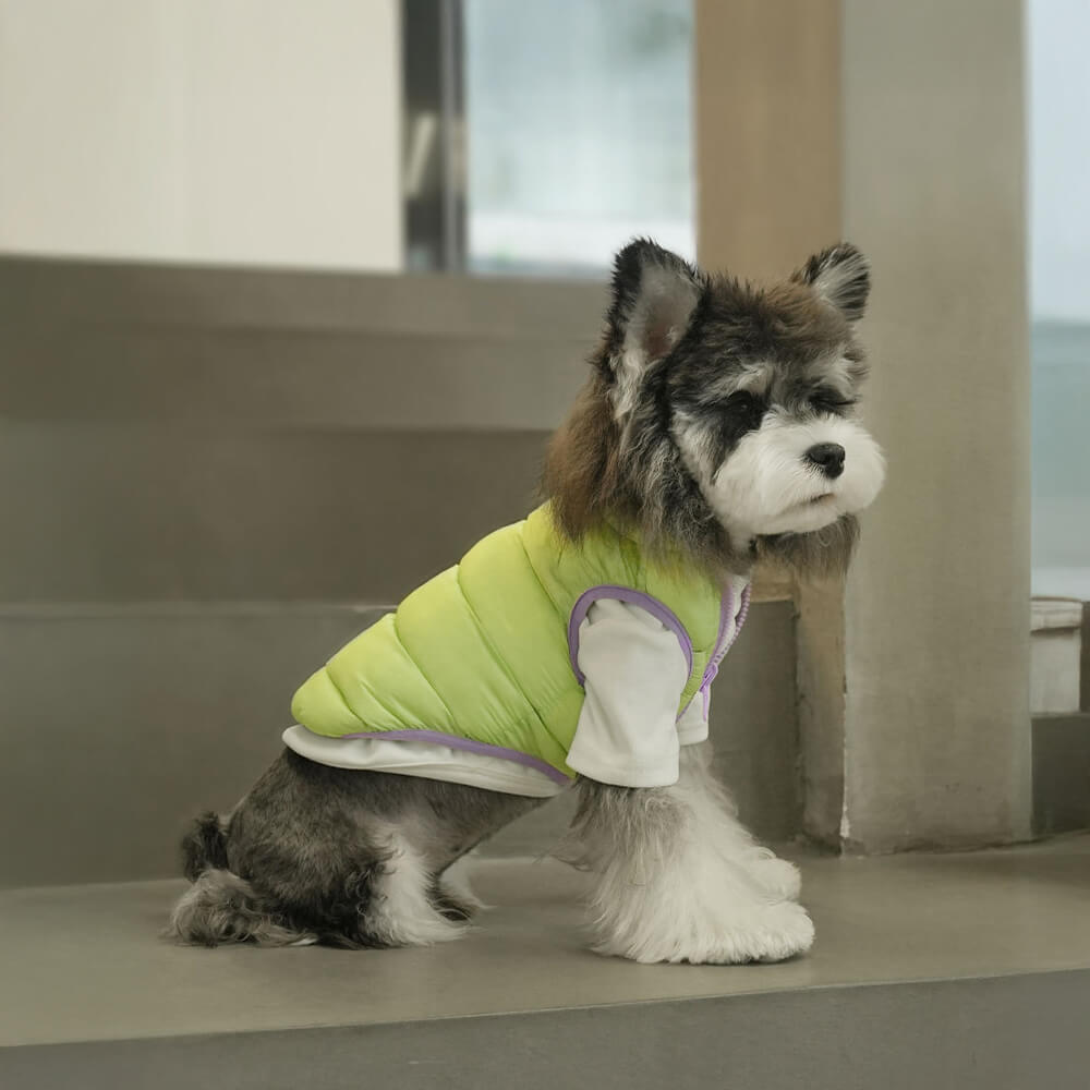 Chaleco para perros ultra elegante, cálido y ligero con rayas de doble cara