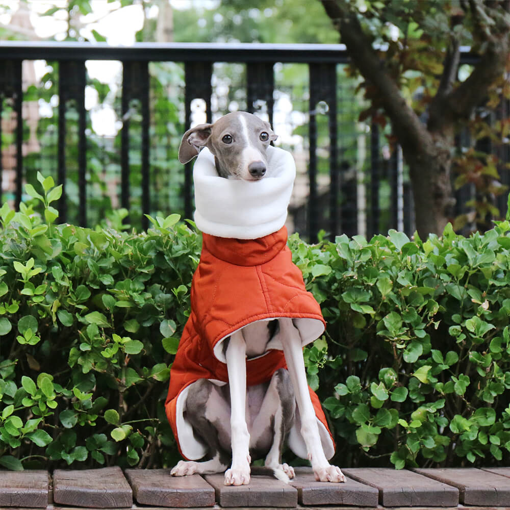 Chaqueta acolchada de cuello alto para perros, cálida, impermeable