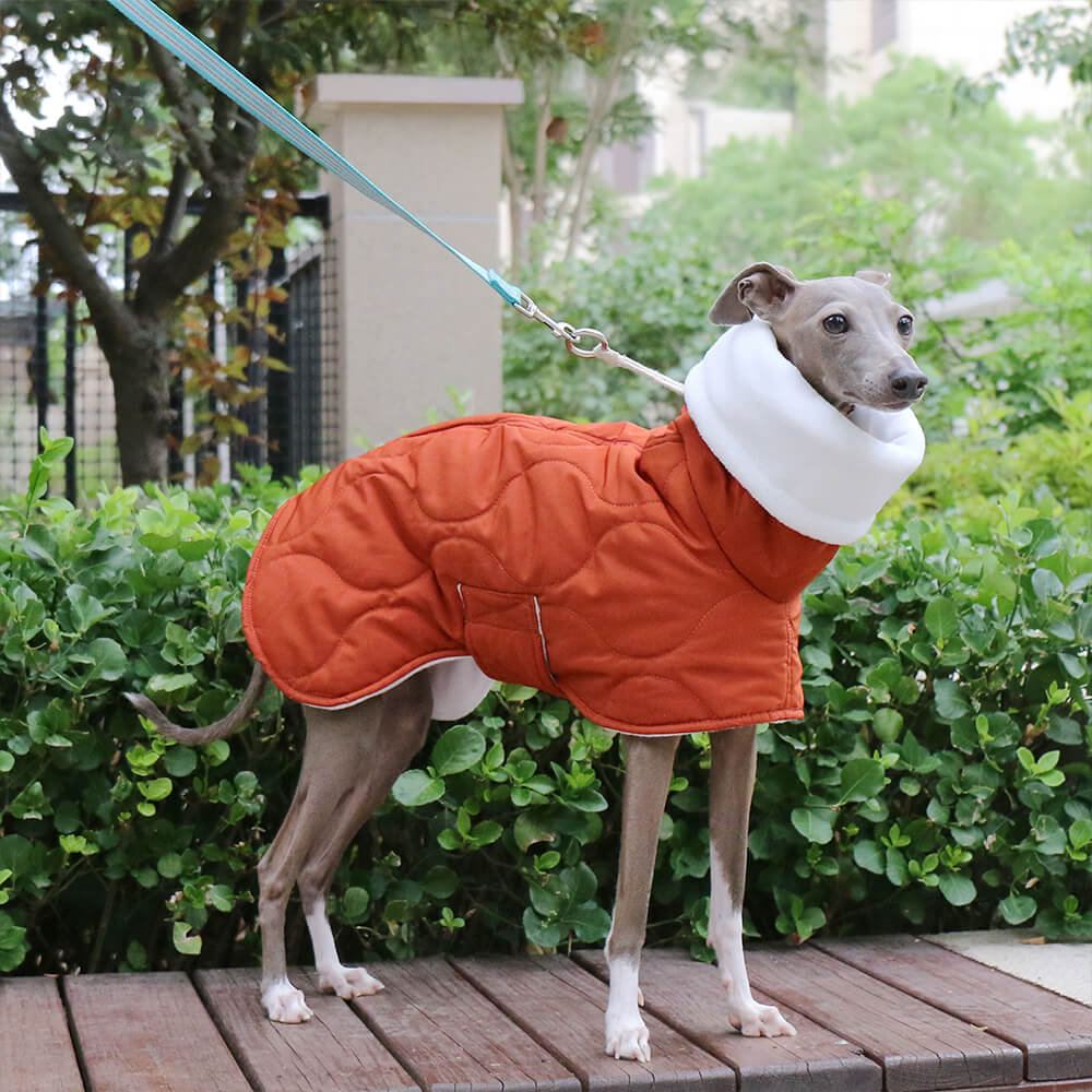 Chaqueta acolchada de cuello alto para perros, cálida, impermeable