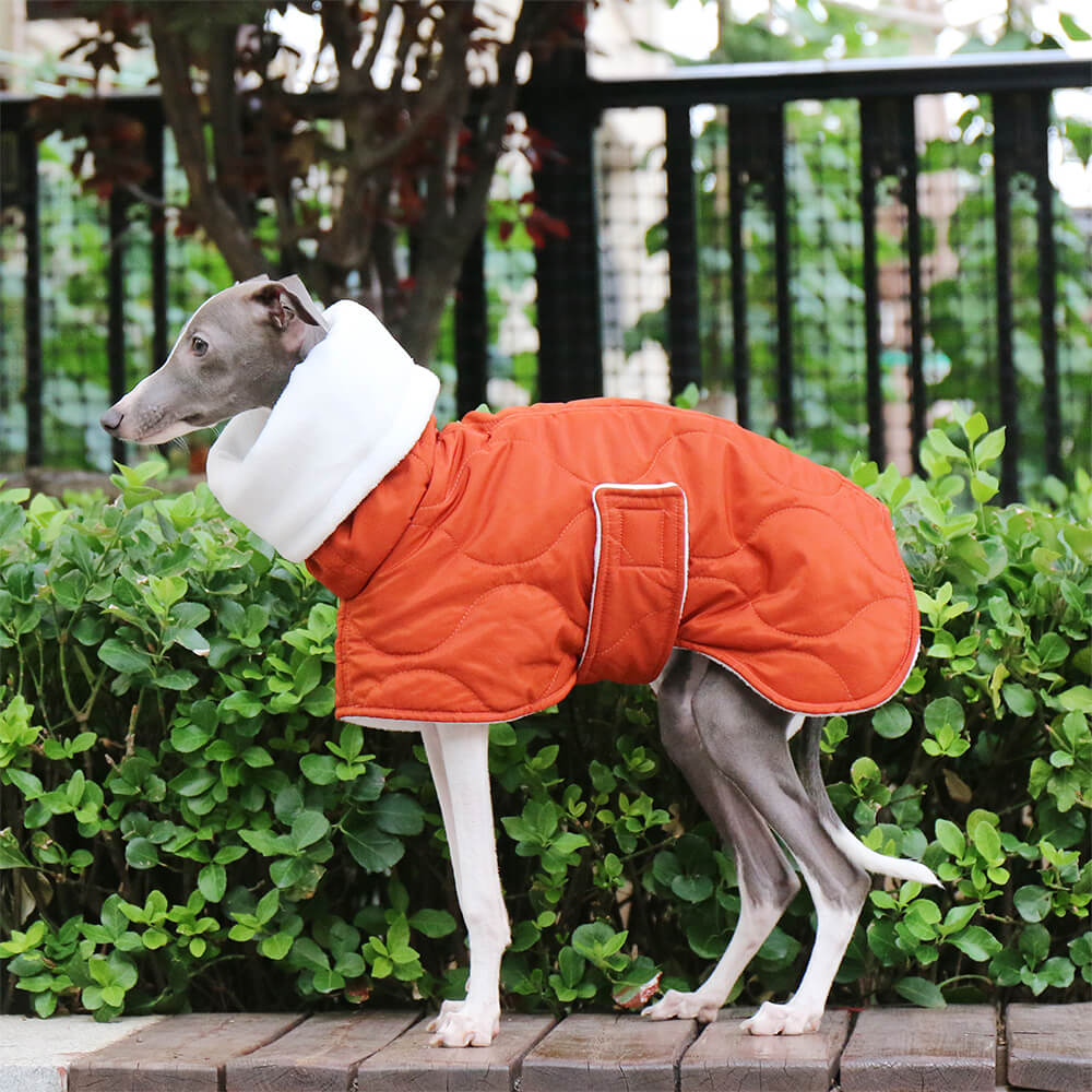 Chaqueta acolchada de cuello alto para perros, cálida, impermeable