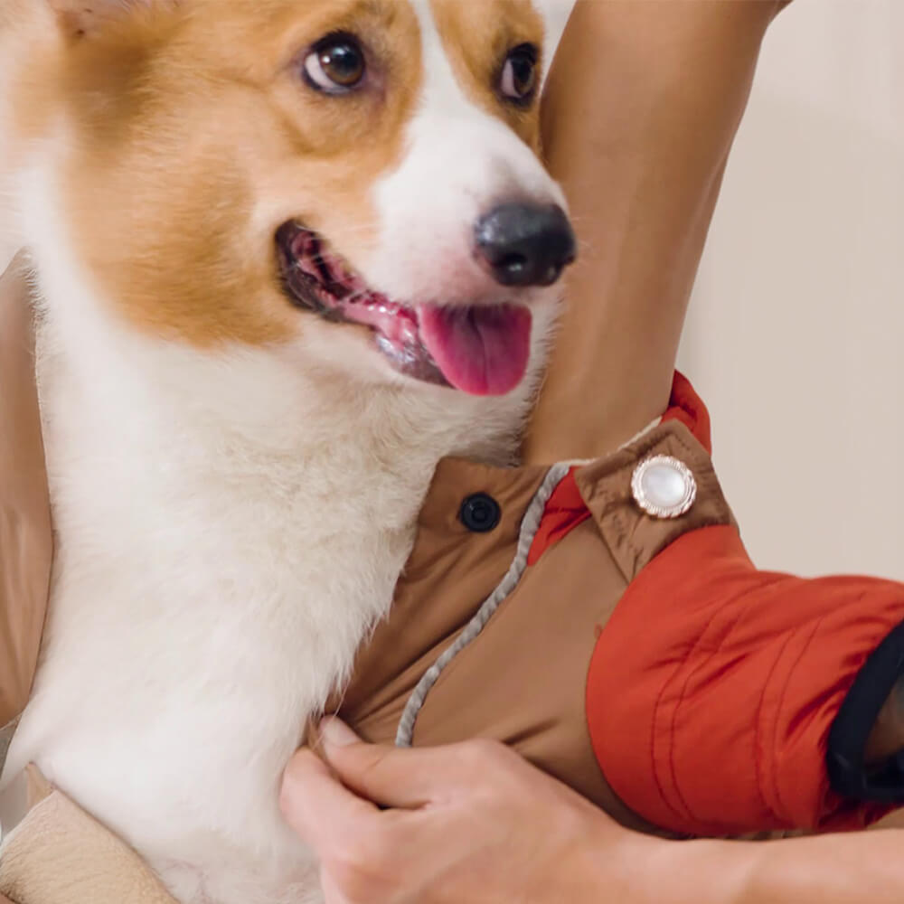 Chaqueta con capucha para perros, impermeable, resistente al viento y cálida, con ajuste ajustable