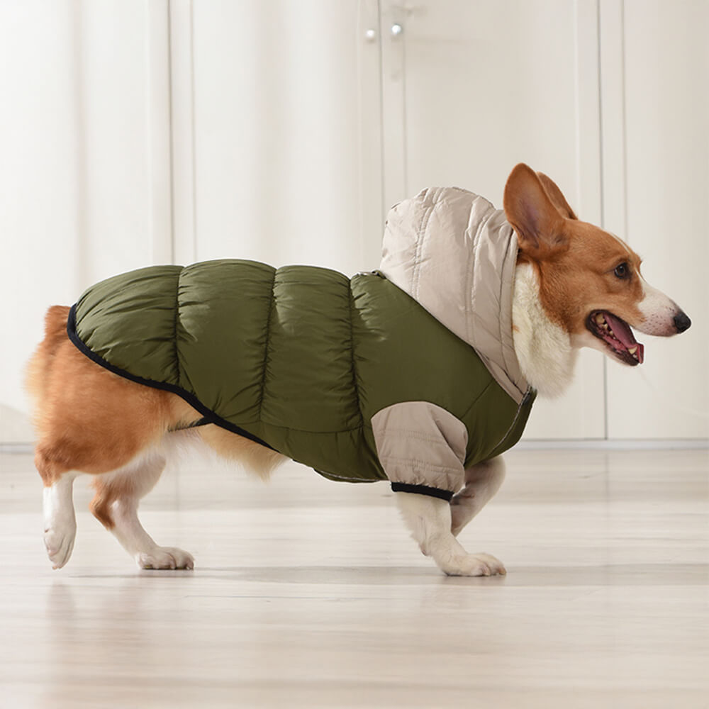 Chaqueta con capucha para perros, impermeable, resistente al viento y cálida, con ajuste ajustable