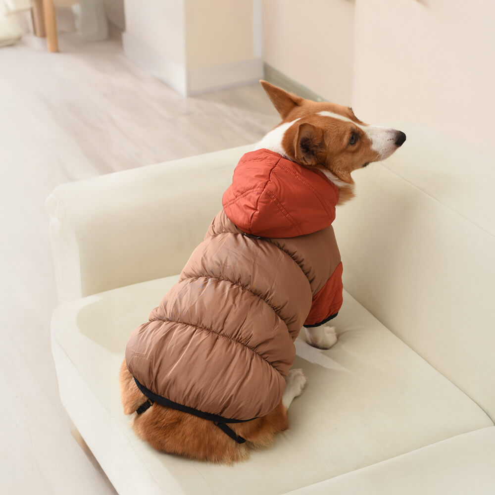 Chaqueta con capucha para perros, impermeable, resistente al viento y cálida, con ajuste ajustable