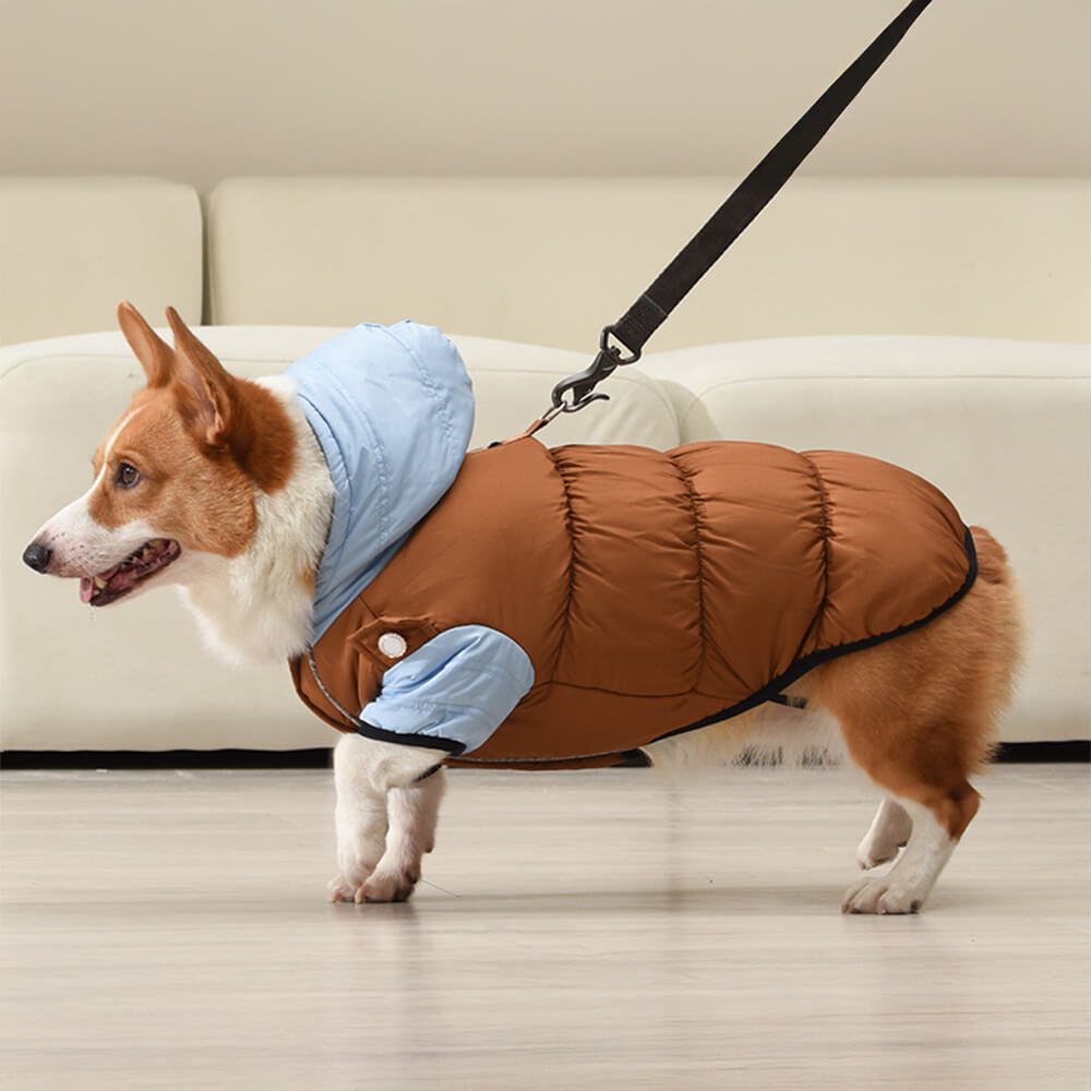 Chaqueta con capucha para perros, impermeable, resistente al viento y cálida, con ajuste ajustable