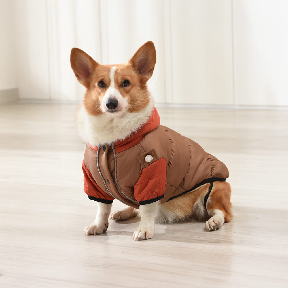 Chaqueta con capucha para perros, impermeable, resistente al viento y cálida, con ajuste ajustable