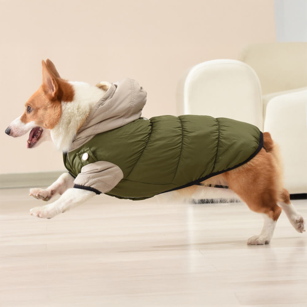 Chaqueta con capucha para perros, impermeable, resistente al viento y cálida, con ajuste ajustable