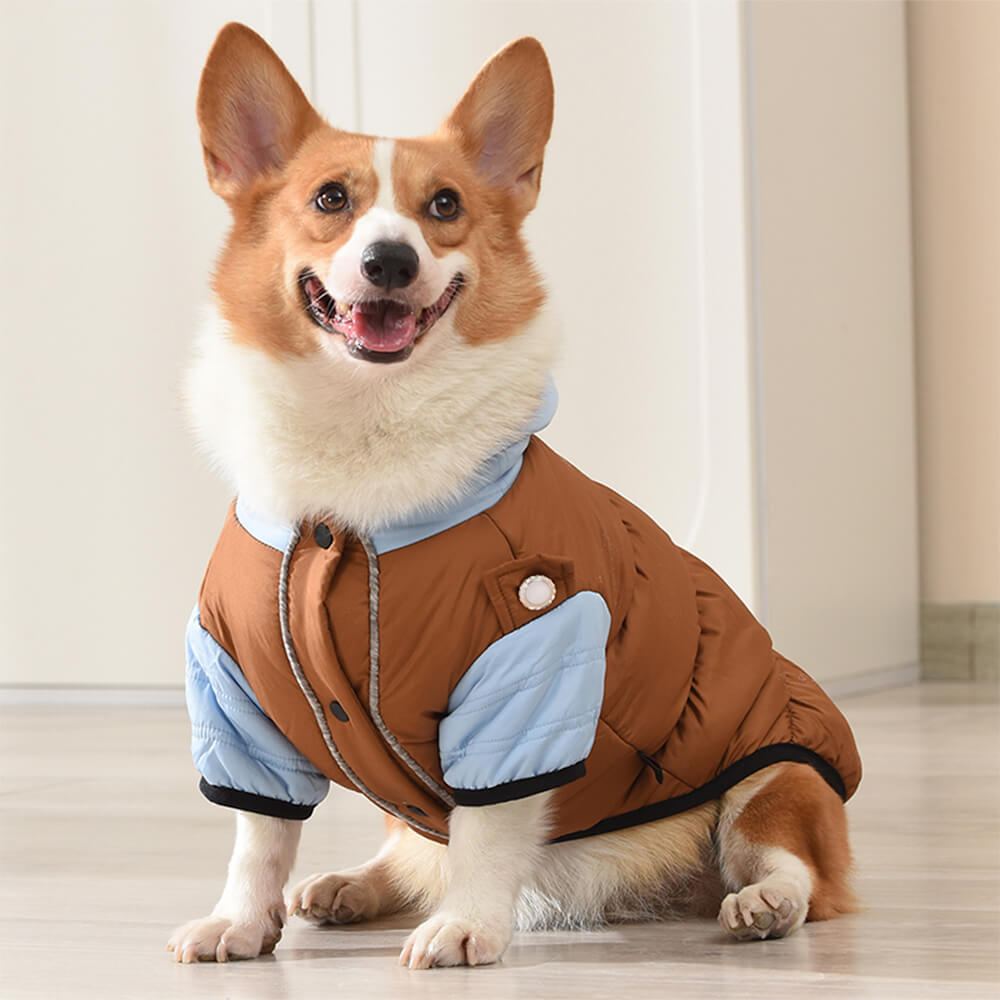 Chaqueta con capucha para perros, impermeable, resistente al viento y cálida, con ajuste ajustable