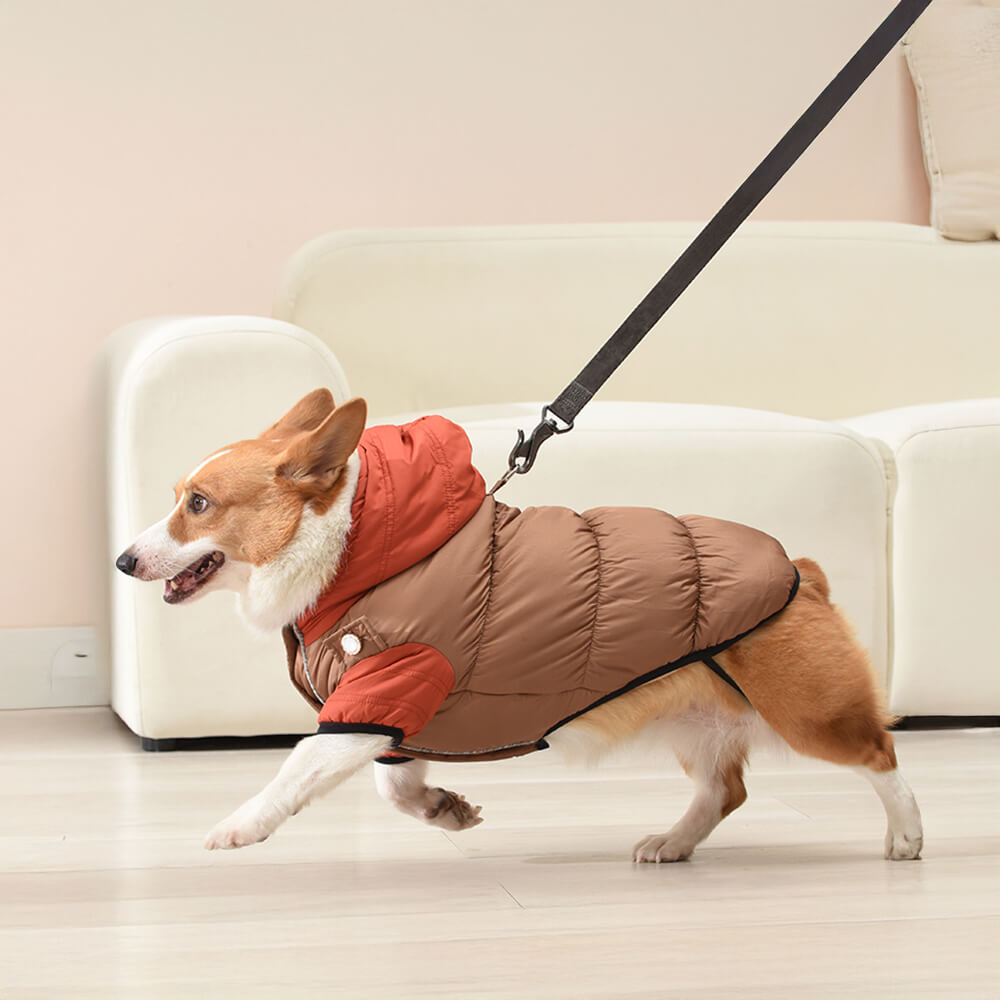 Chaqueta con capucha para perros, impermeable, resistente al viento y cálida, con ajuste ajustable