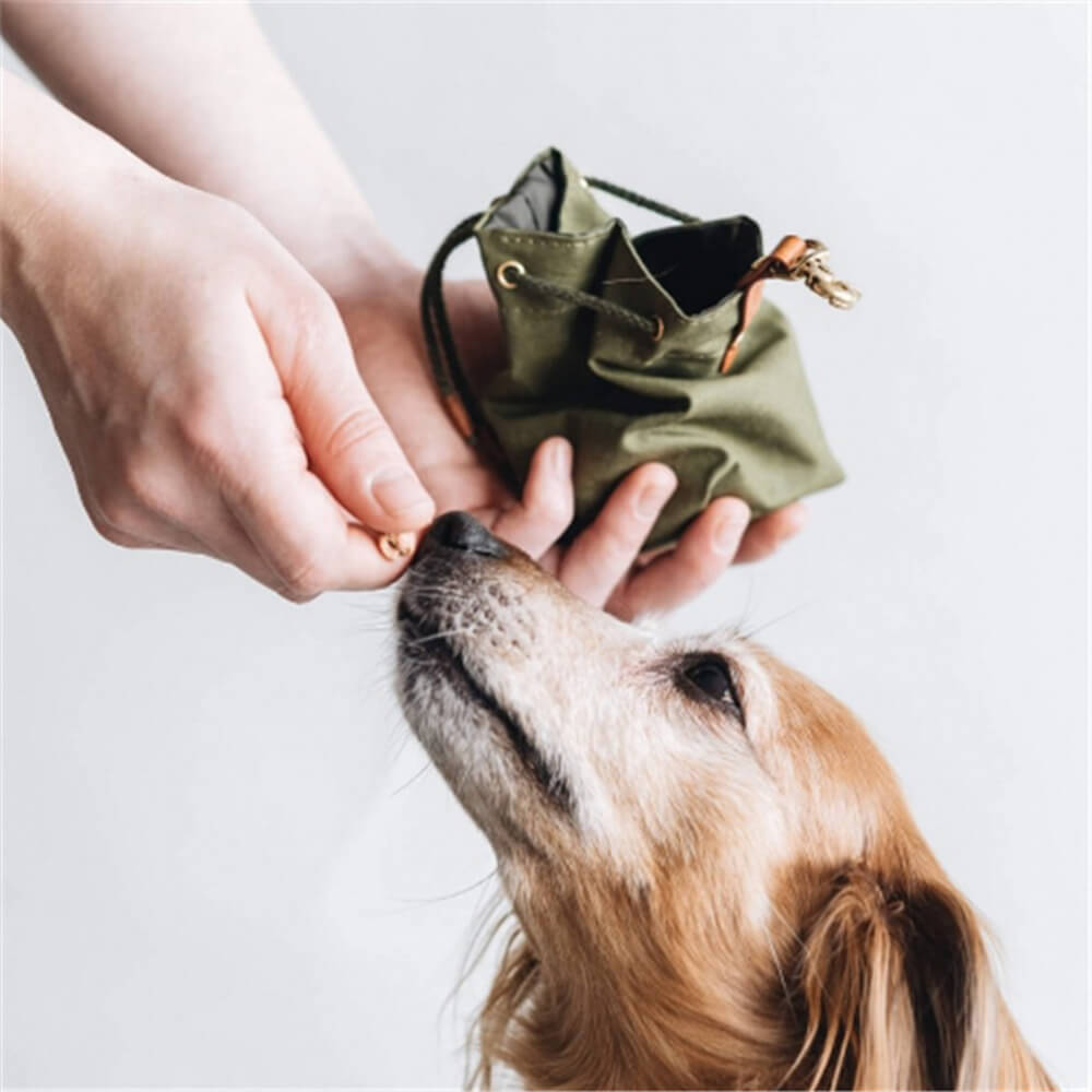 Bolsa para golosinas para perros para entrenamiento al aire libre, de lona encerada y piel sintética, bolsa para desechos