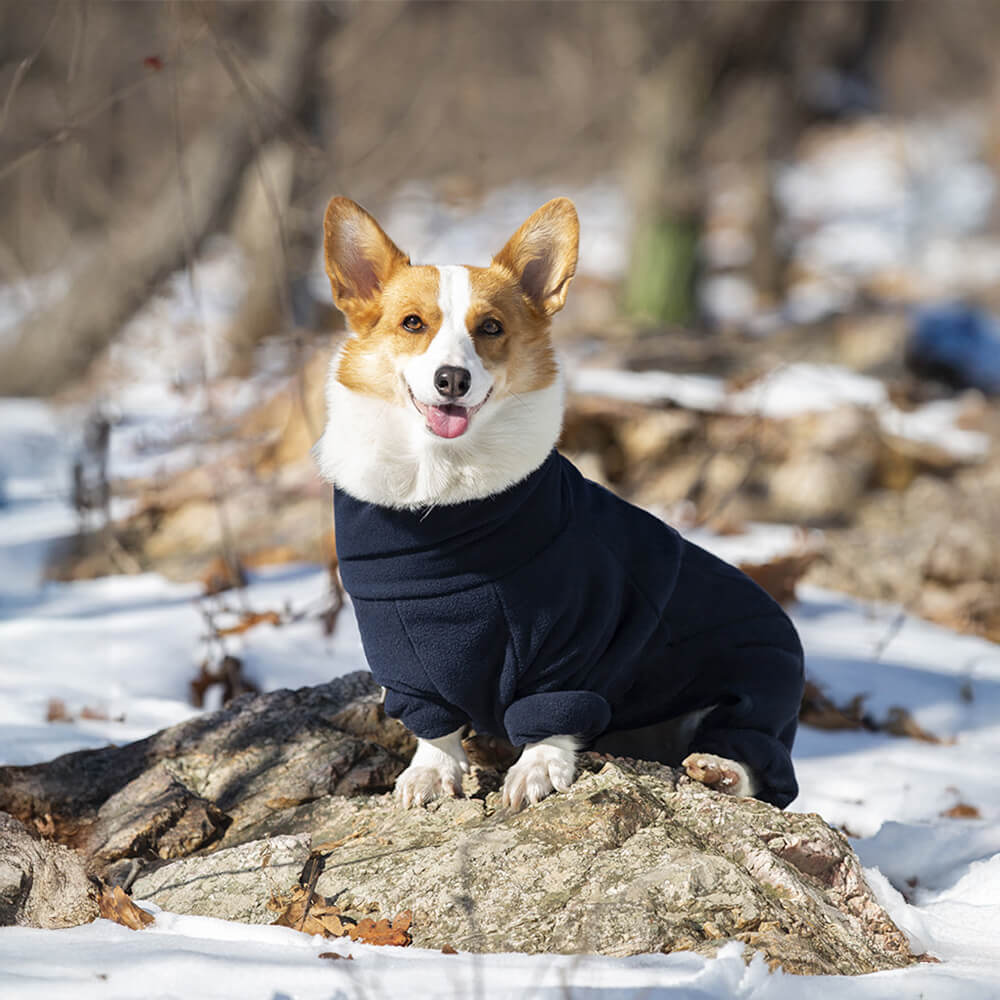 Mono para perro de cuello alto, resistente al viento y con forro polar que abriga todo el cuerpo