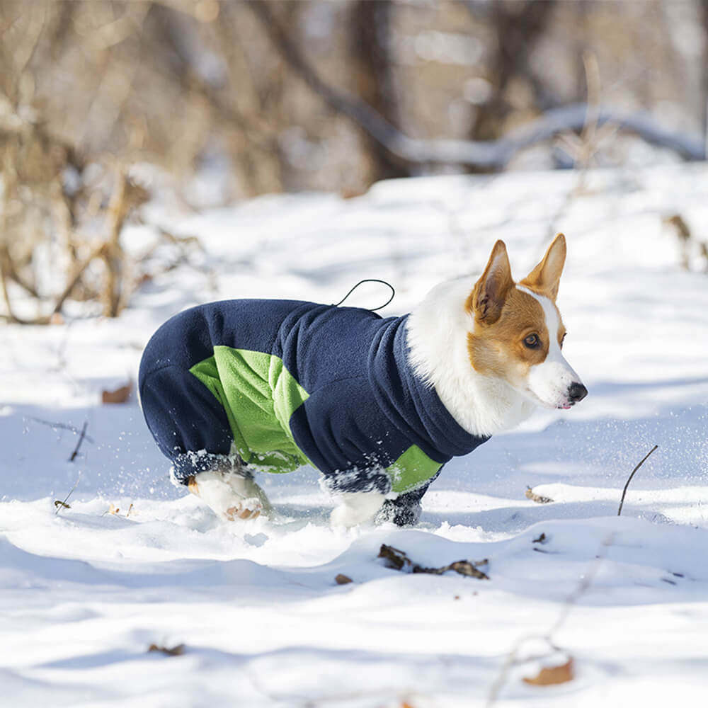 Mono para perro de cuello alto, resistente al viento y con forro polar que abriga todo el cuerpo