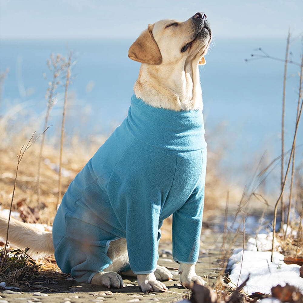 Mono para perro de cuello alto, resistente al viento y con forro polar que abriga todo el cuerpo