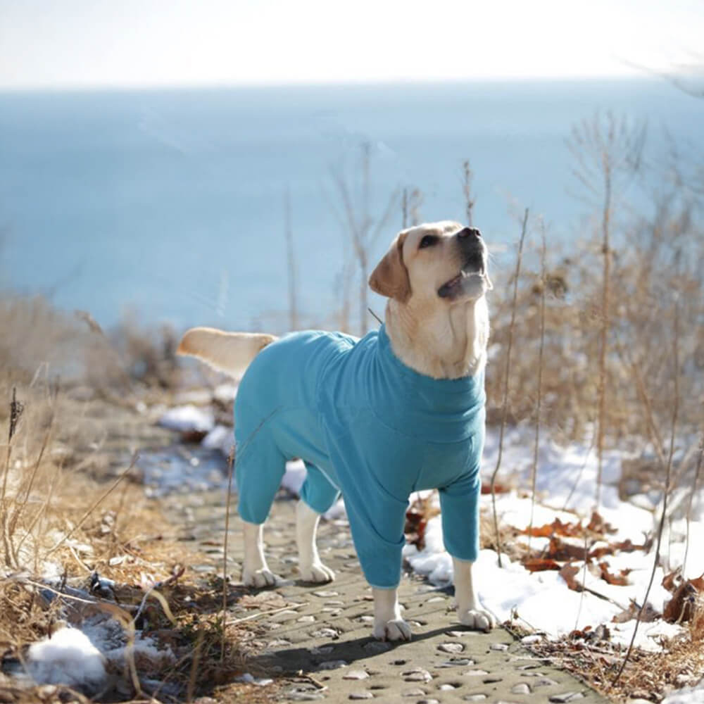 Mono para perro de cuello alto, resistente al viento y con forro polar que abriga todo el cuerpo