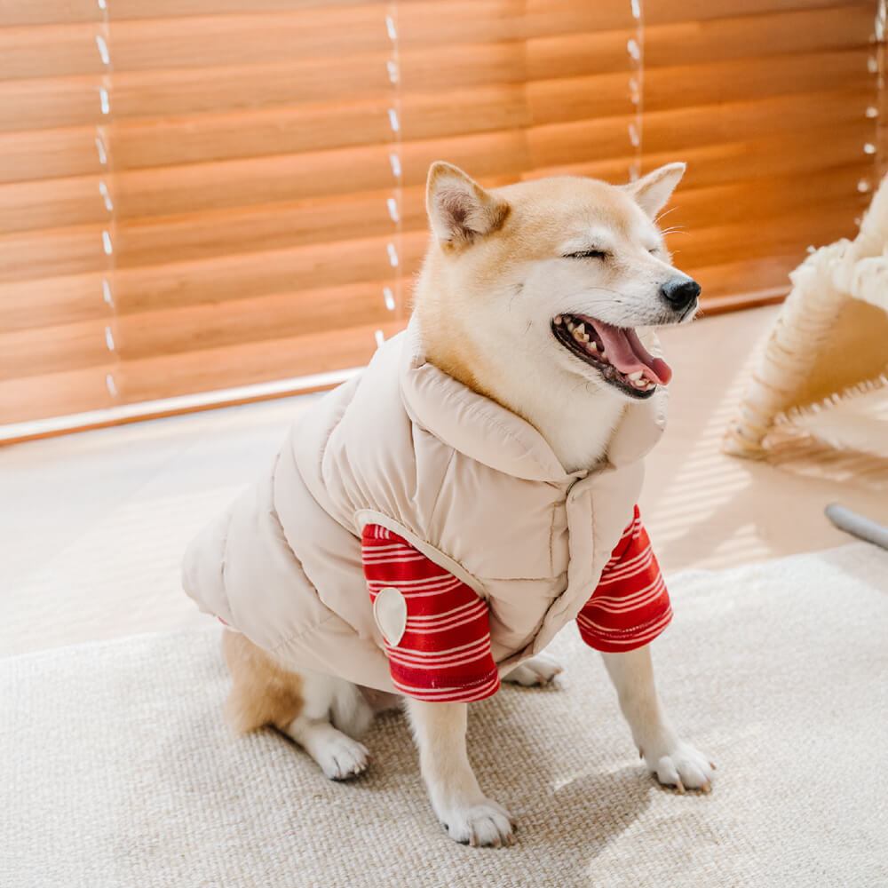 Chaleco para perros acolchado, cálido, resistente al viento y sin mangas, antiarrugas