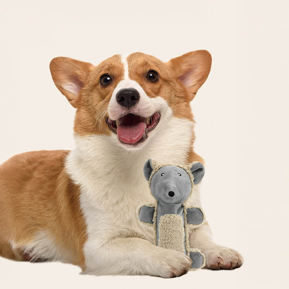 Ratón de peluche suave oso duradero juguete interactivo para perros que hace ruido al morder