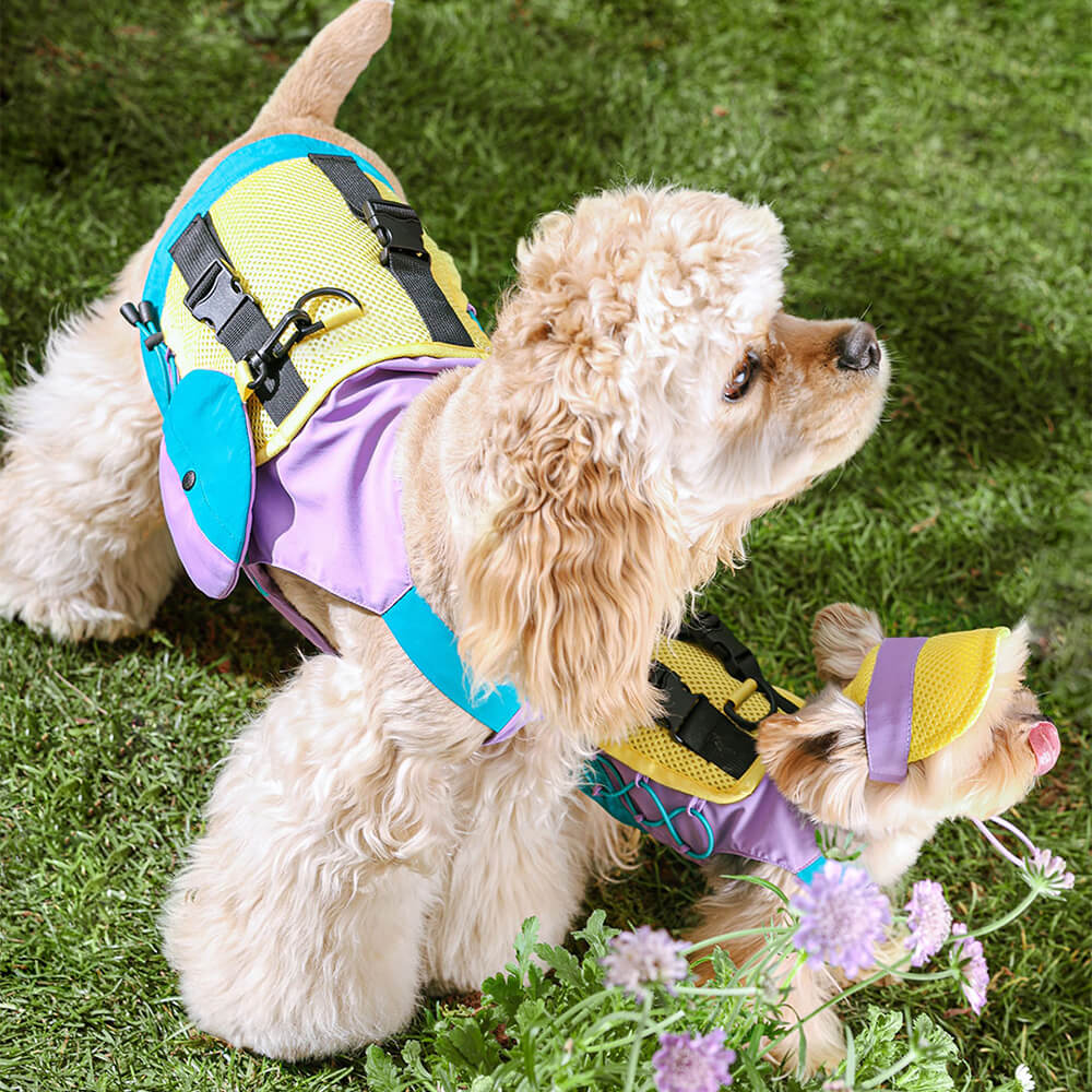 Chaleco colorido de moda para perros con sombrero para el sol para perros pequeños