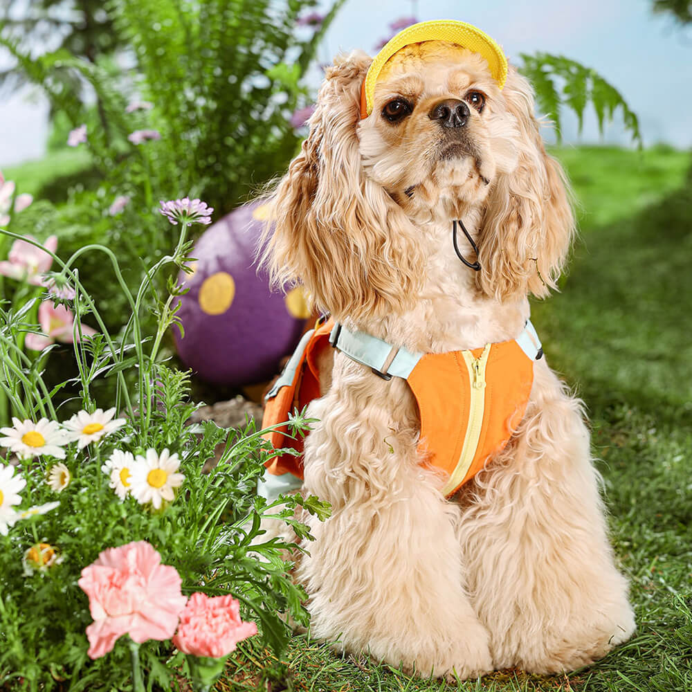 Chaleco colorido de moda para perros con sombrero para el sol para perros pequeños