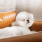 Faux cuero impermeable látex protector de látex sofá cama para perros