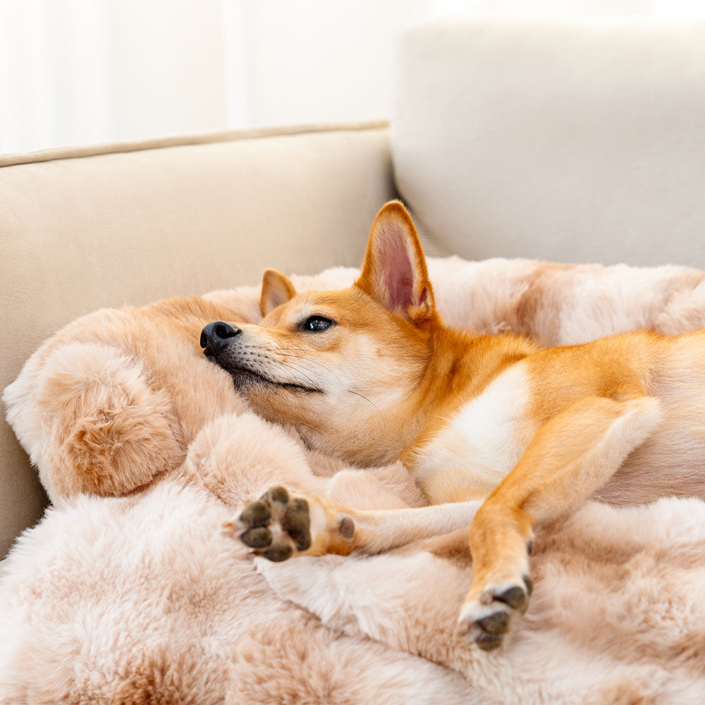 Estera protectora del animal doméstico del protector del sofá de la cama del perro calmante difusa y esponjosa