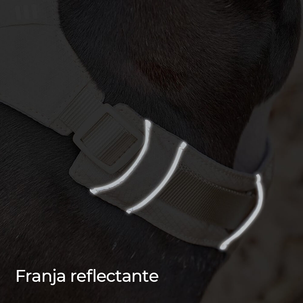 Arnés para perros ligero, impermeable, transpirable, antitirones y correa multifuncional