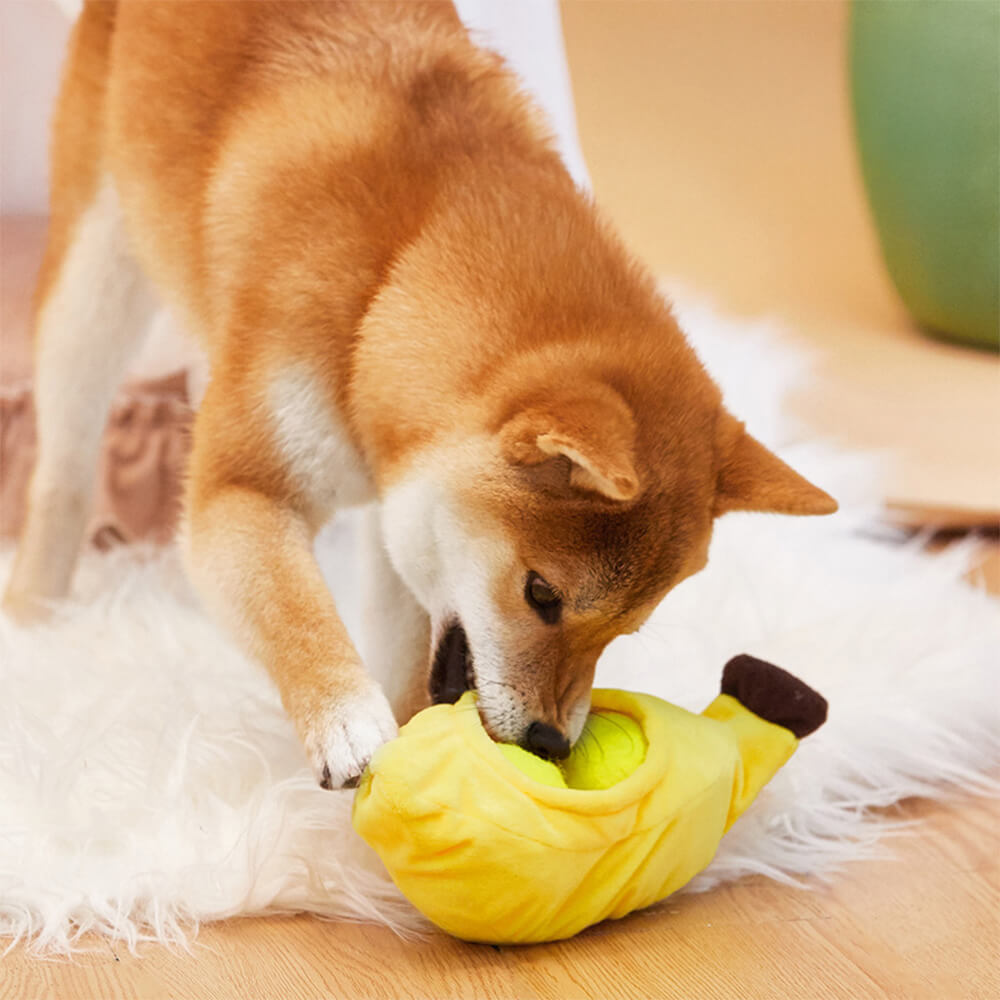 Juguete interactivo de comida escondida en forma de pelota de tenis para perros, juguete para la dentición