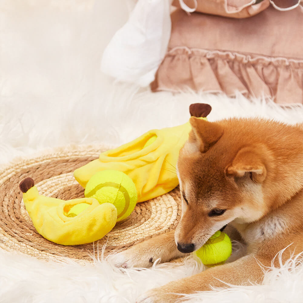 Juguete interactivo de comida escondida en forma de pelota de tenis para perros, juguete para la dentición