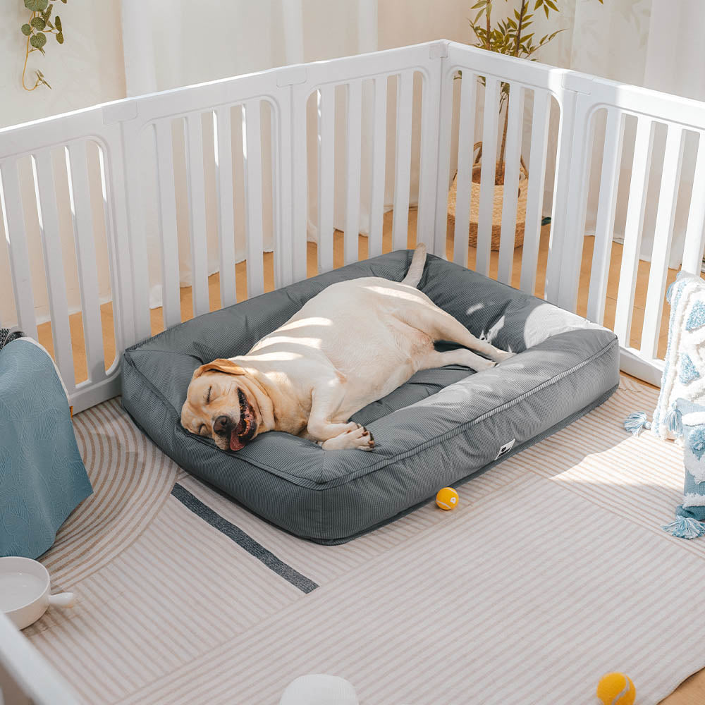 Cama para perro grande ortopédica y totalmente impermeable con soporte envolvente