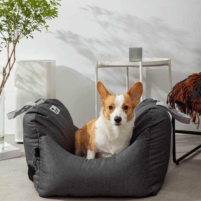 Cama para Silla de Coche de Perro - Primera Clase