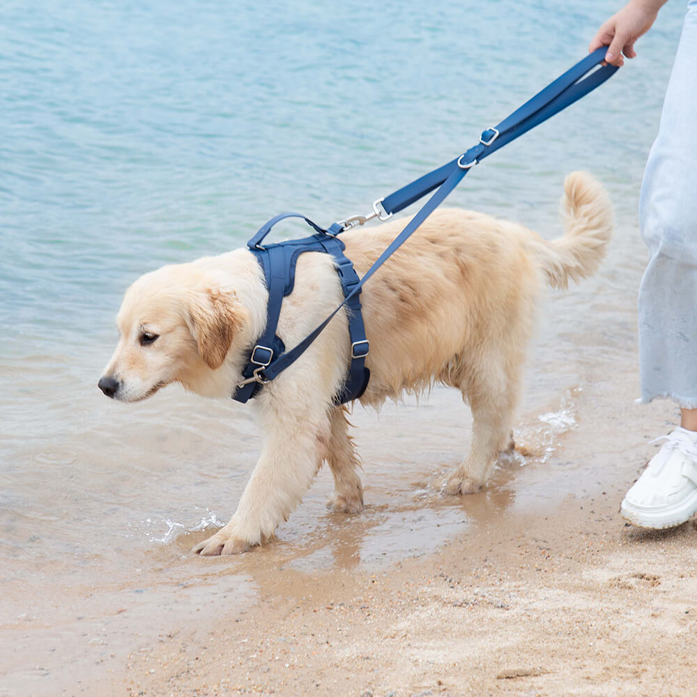 Juego de paseo con accesorios para perros