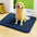 Alfombra para mascotas de felpa gruesa, absorbente y resistente al barro para patas sucias