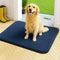 Alfombra de puerta de mascotas resistente al lodo absorbente de lujo grueso para patas sucias