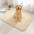 Alfombra para mascotas de felpa gruesa, absorbente y resistente al barro para patas sucias