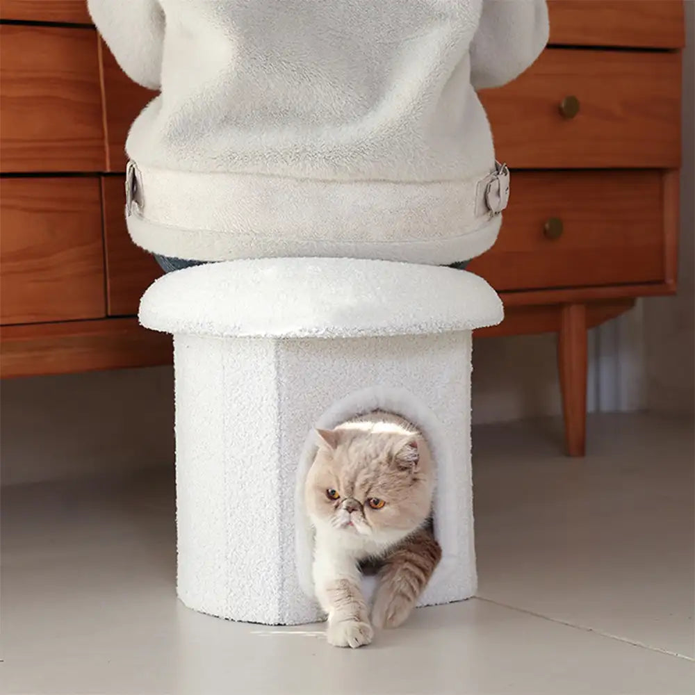 Casa para mascotas tipo otomano portátil, cueva para gatos plegable