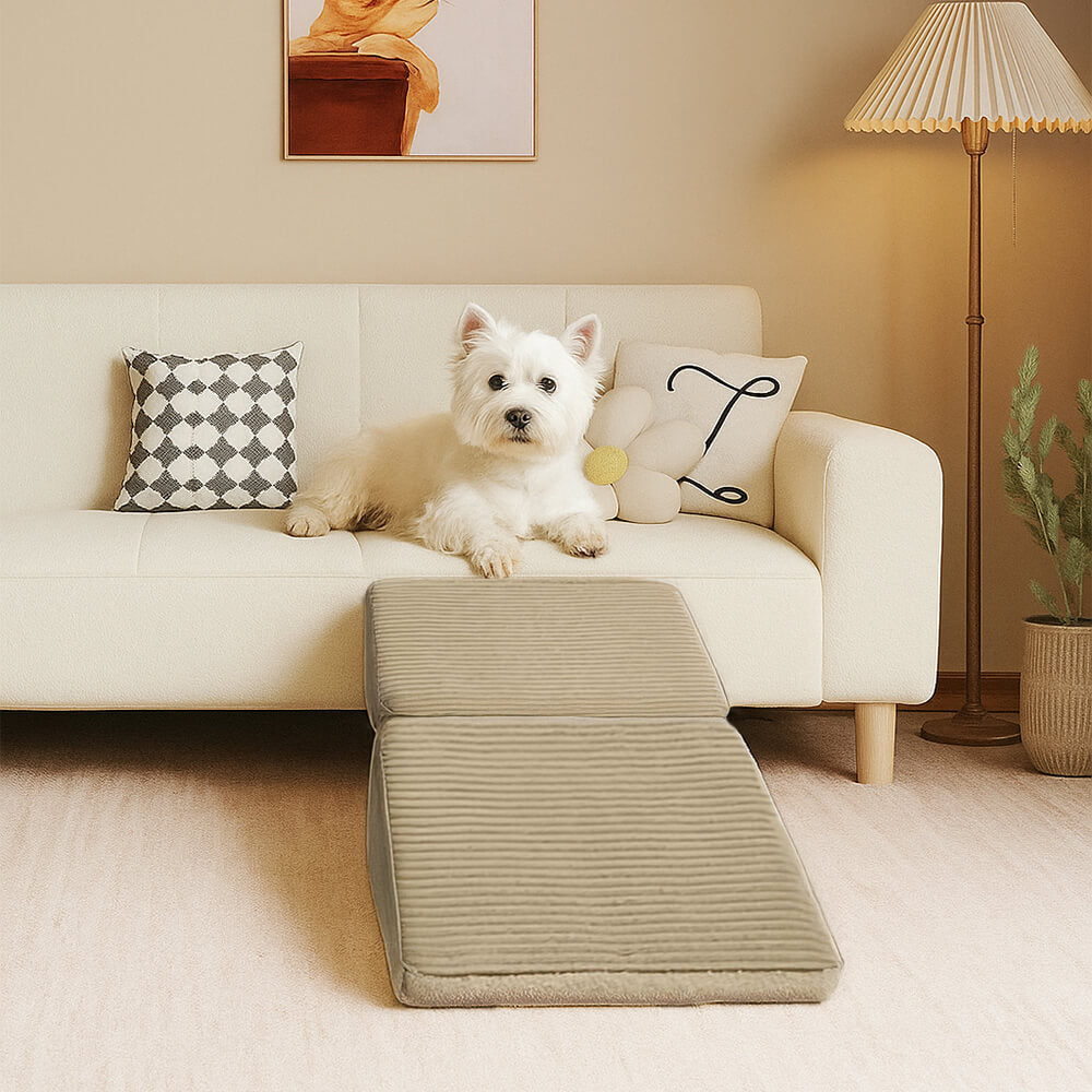 Escalera para perros en forma de rampa de madera convertible 2 en 1