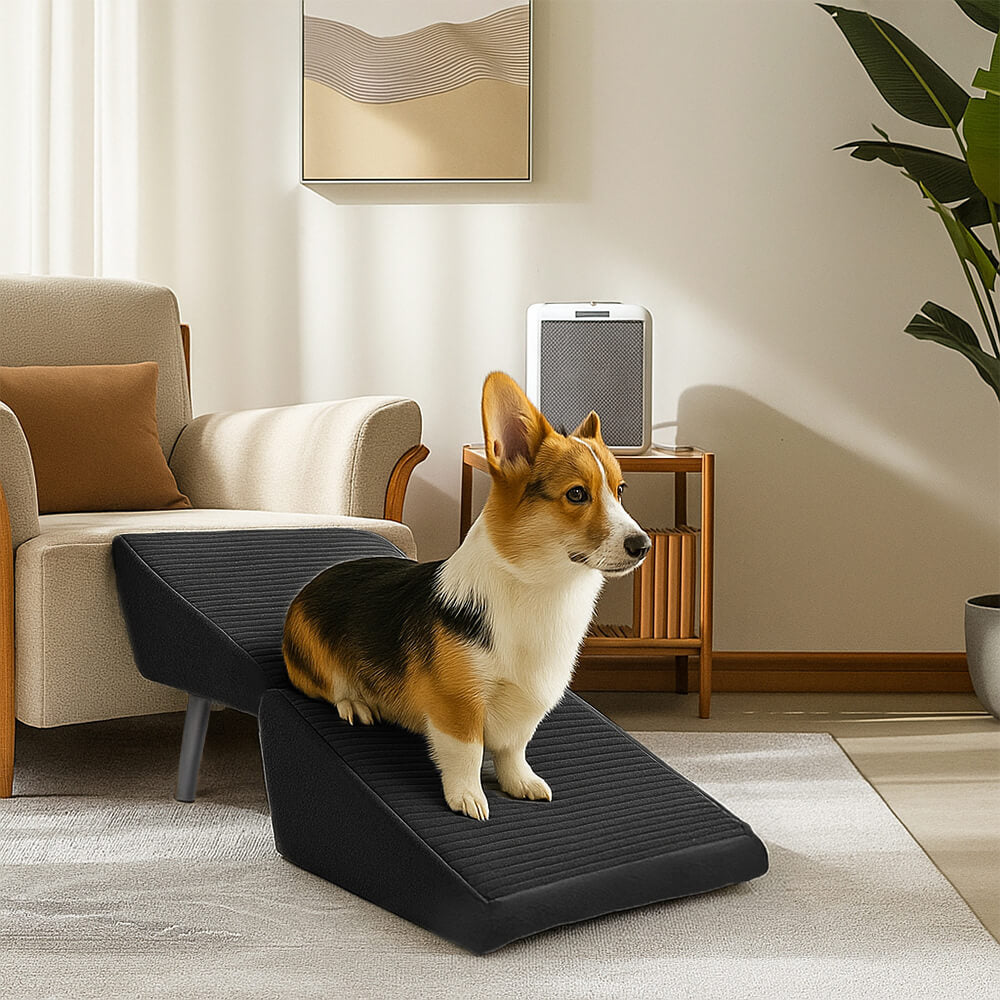 Escalera para perros en forma de rampa de madera convertible 2 en 1
