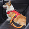 Anti-Pull Nylon Dog Cart Cinturón de seguridad