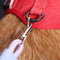 Anti-Pull Nylon Dog Cart Cinturón de seguridad