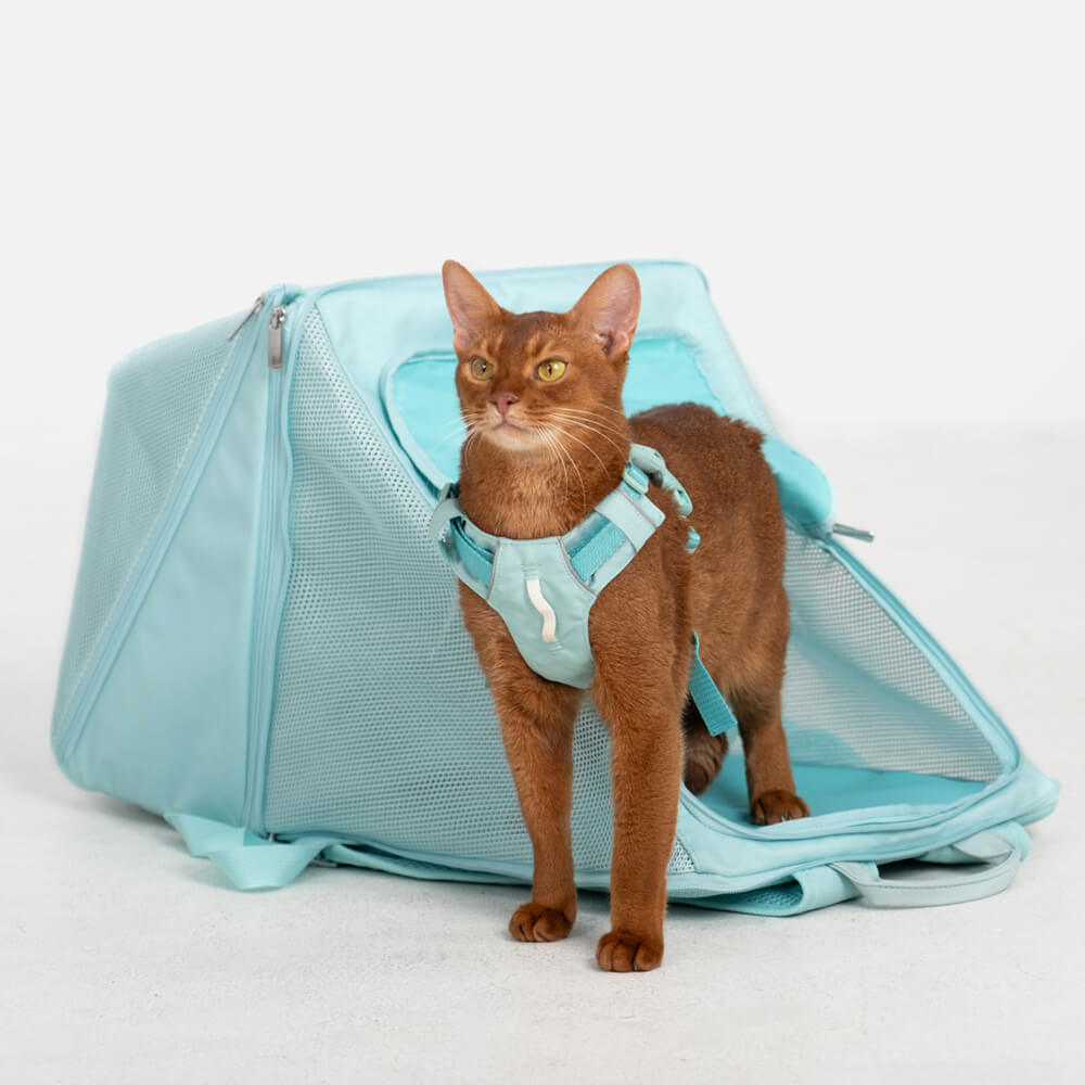 Mochila para perros y gatos ligera, impermeable, plegable y de nailon transpirable