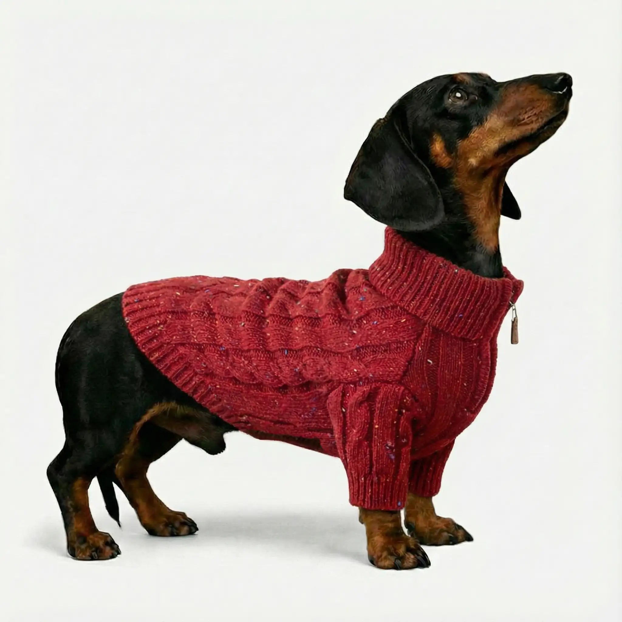 Cable Knit Zipper Collar Dachshund Dog Sweater