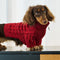 Cable Knit Zipper Collar Dachshund Dog Sweater