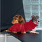 Cable Knit Zipper Collar Dachshund Dog Sweater