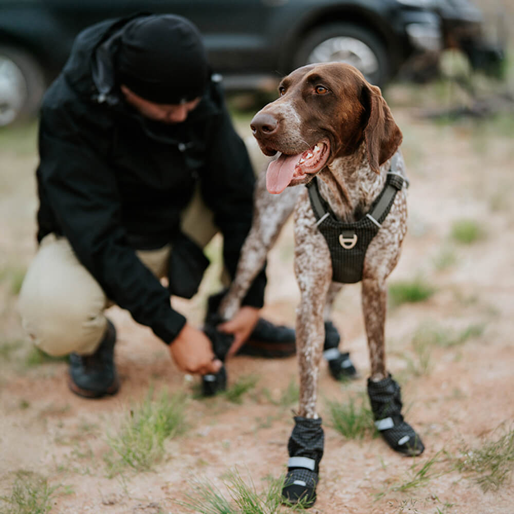 Botas para perros elegantes, impermeables, reflectantes, antideslizantes, de goma y con velcro para exteriores