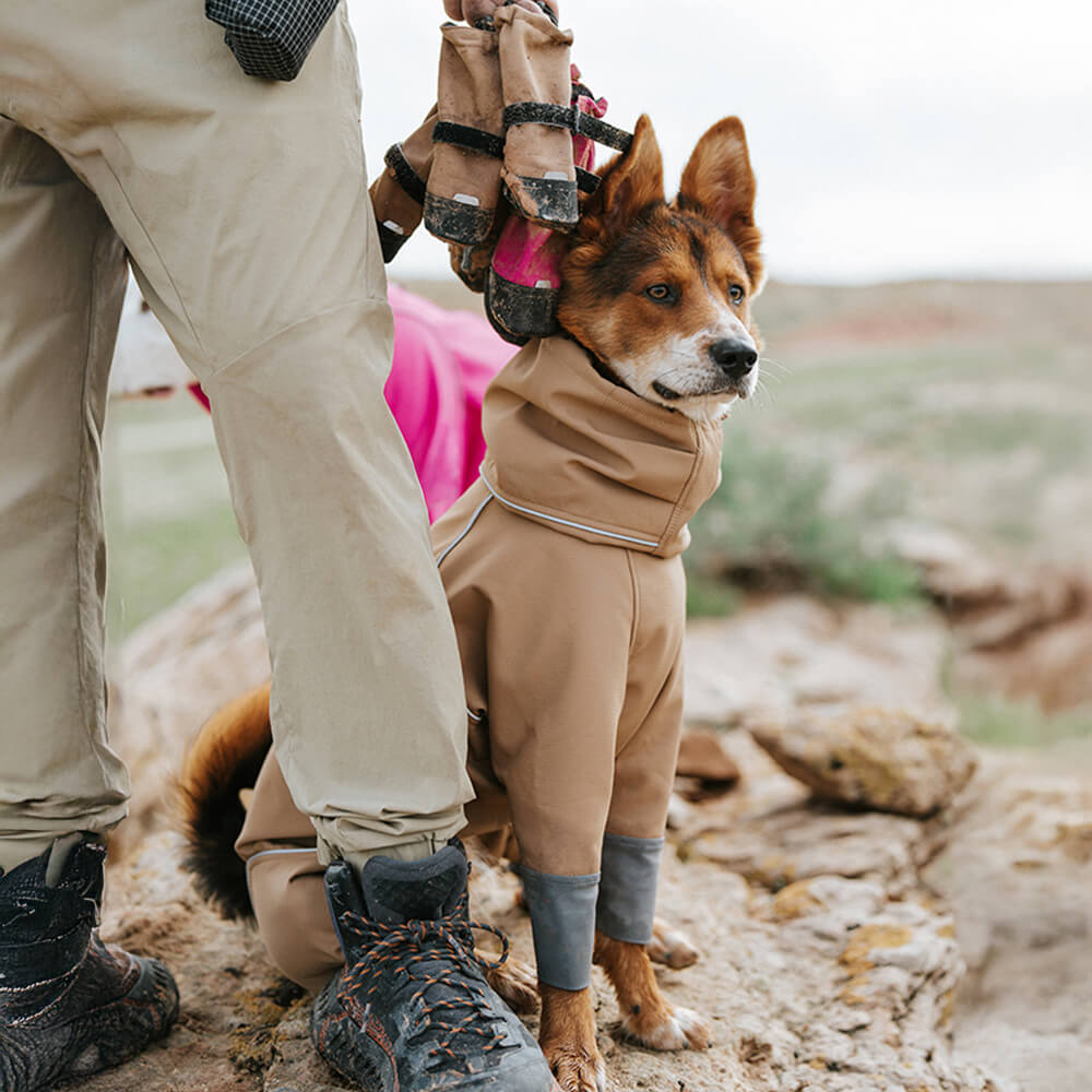 Botas para perros elegantes, impermeables, reflectantes, antideslizantes, de goma y con velcro para exteriores