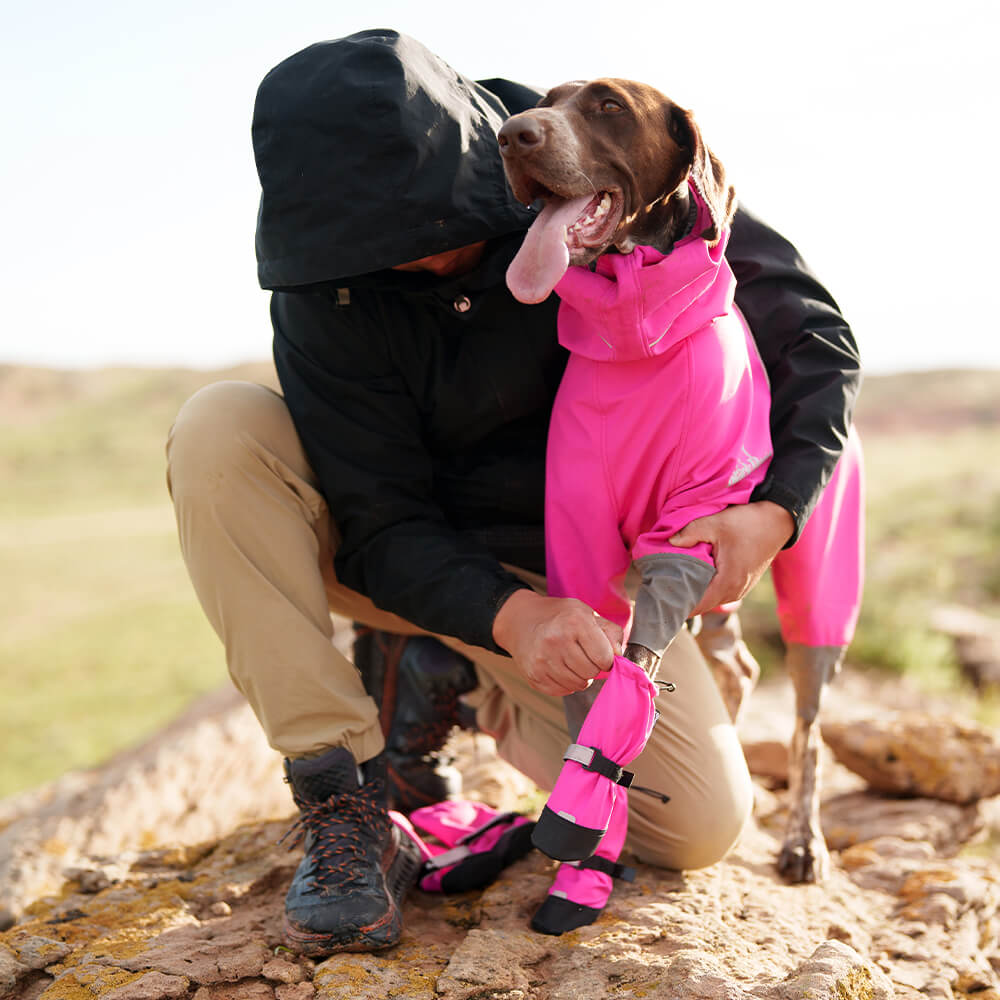 Botas para perros elegantes, impermeables, reflectantes, antideslizantes, de goma y con velcro para exteriores