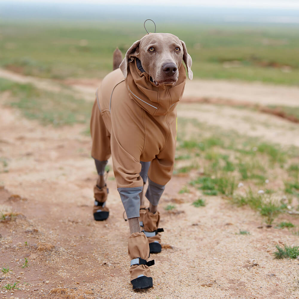 Botas para perros elegantes, impermeables, reflectantes, antideslizantes, de goma y con velcro para exteriores