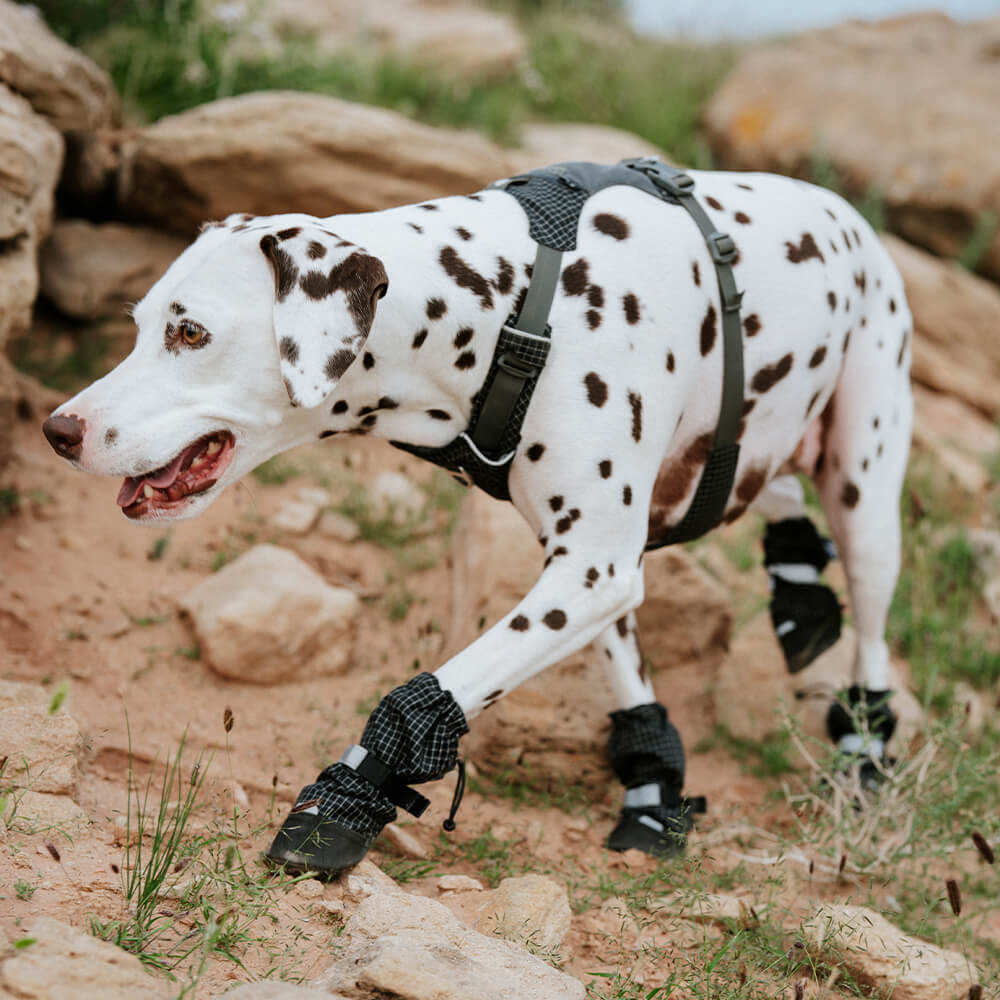 Botas para perros elegantes, impermeables, reflectantes, antideslizantes, de goma y con velcro para exteriores